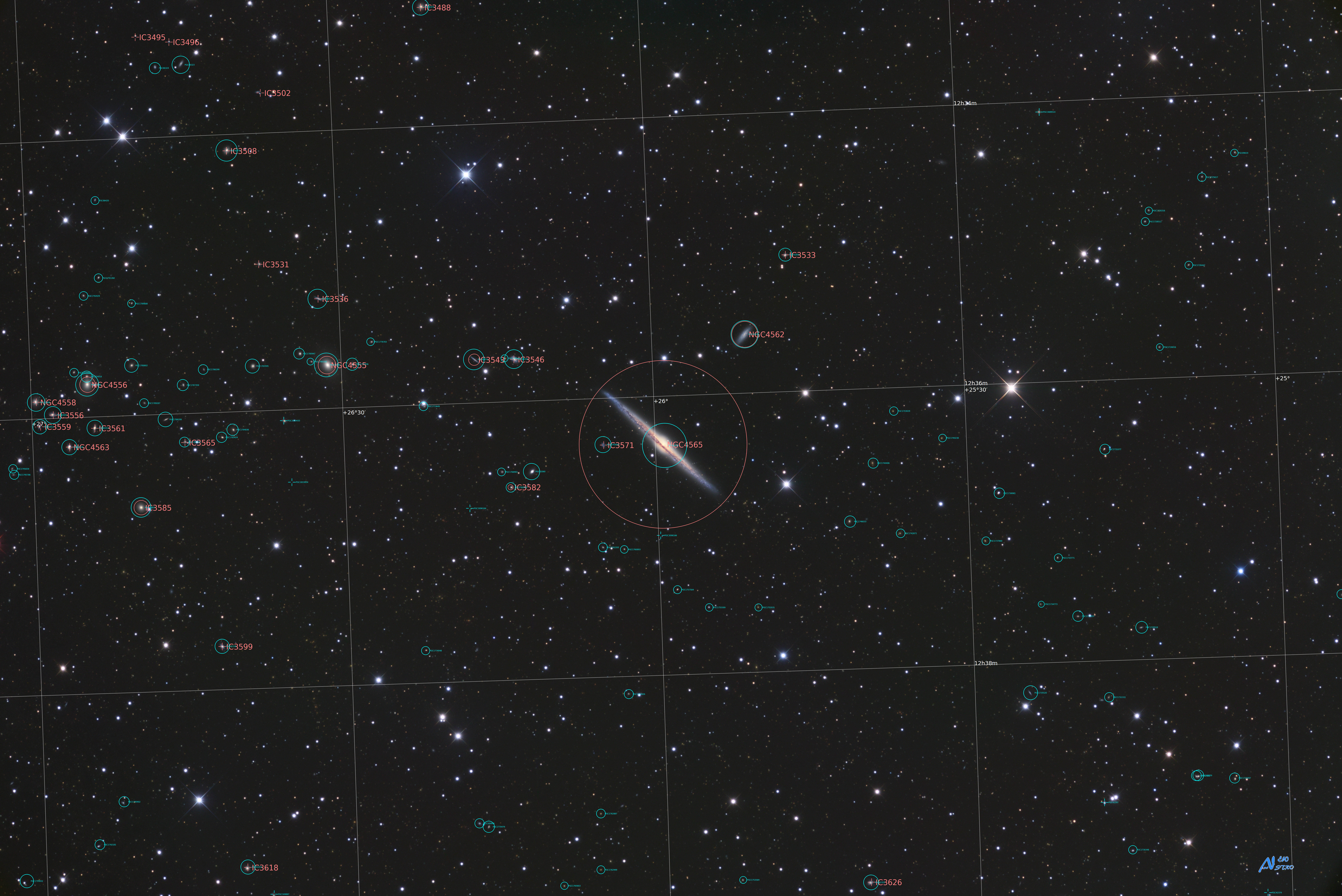 Ngc 4565 Annotated